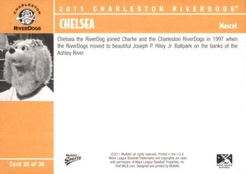 2011 MultiAd Charleston RiverDogs #35 Chelsea Back