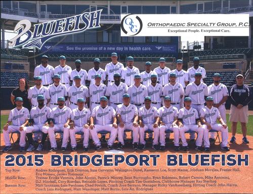 2015 Orthopaedic Specialty Group Bridgeport Bluefish Team Photo #NNO Bridgeport Bluefish Front