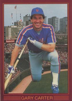 1988 Baseball Stars Series 3 (unlicensed) #4 Gary Carter Front