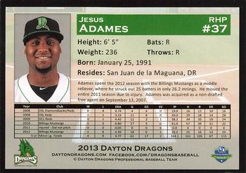 2013 Dayton Dragons #NNO Jesus Adames Back