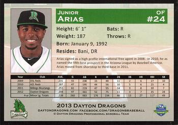 2013 Dayton Dragons #NNO Junior Arias Back