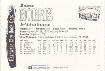 1995 Multi-Ad Hardware City Rock Cats #17 Joe Norris Back