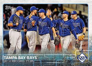 2015 Topps Mini #669 Tampa Bay Rays Front
