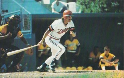 1982 Minnesota Twins Postcards #NNO Rob Wilfong Front