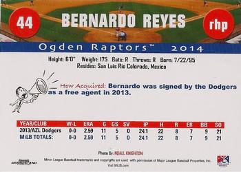 2014 Grandstand Ogden Raptors #NNO Bernardo Reyes Back