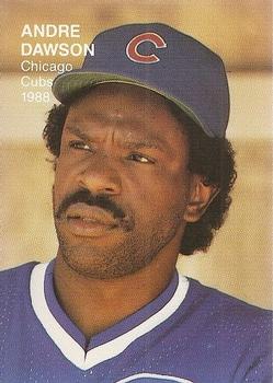 1988 Classic Superstars Photos (unlicensed) #11 Andre Dawson Front