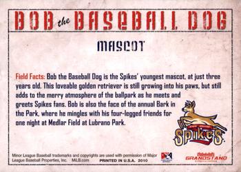 2010 Grandstand State College Spikes #NNO Bob the Baseball Dog Back