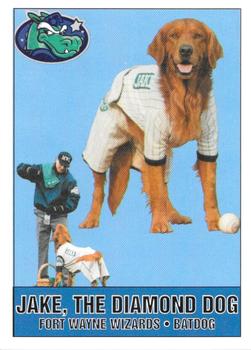 2000 Fort Wayne Wizards #NNO Jake the Diamond Dog Front