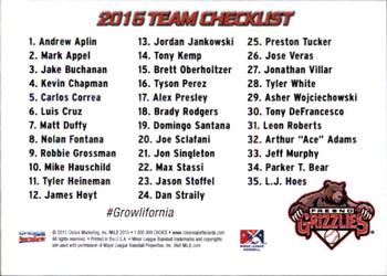 2015 Choice Fresno Grizzlies #NNO Team Card Back