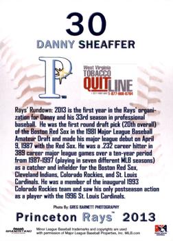 2013 Grandstand Princeton Rays #NNO Danny Sheaffer Back