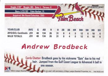 2016 Grandstand Palm Beach Cardinals #NNO Andrew Brodbeck Back