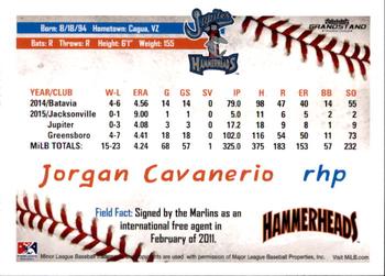 2016 Grandstand Jupiter Hammerheads #NNO Jorgan Cavanerio Back