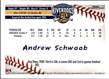 2016 Grandstand Charleston RiverDogs #NNO Andrew Schwaab Back