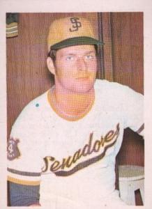 1972 Puerto Rican Winter League Stickers #161 Mike Nagy Front