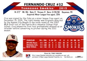 2015 Grandstand Tennessee Smokies #NNO Fernando Cruz Back