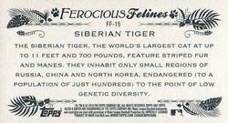 2016 Topps Allen & Ginter - Mini Ferocious Felines #FF-15 Siberian Tiger Back