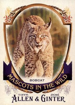 2016 Topps Allen & Ginter - Mascots In The Wild #MIW-1 Bobcat Front