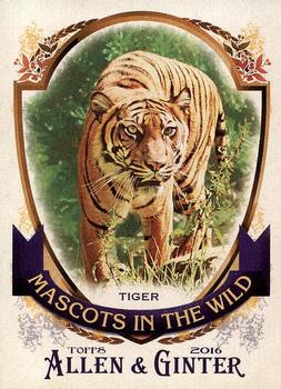 2016 Topps Allen & Ginter - Mascots In The Wild #MIW-2 Tiger Front