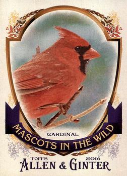 2016 Topps Allen & Ginter - Mascots In The Wild #MIW-4 Cardinal Front