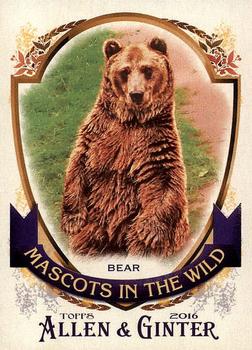 2016 Topps Allen & Ginter - Mascots In The Wild #MIW-5 Bear Front