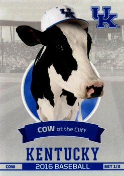 2016 Kentucky Wildcats #UK1 Cow at the Cliff Front
