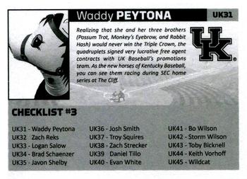 2016 Kentucky Wildcats #UK31 Waddy Peytona Back