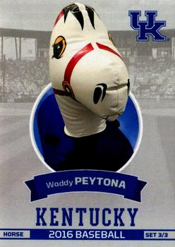 2016 Kentucky Wildcats #UK31 Waddy Peytona Front