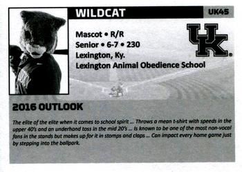 2016 Kentucky Wildcats #UK45 Wildcat Back