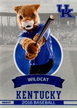 2016 Kentucky Wildcats #UK45 Wildcat Front