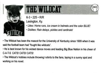 2014 Kentucky Wildcats #43 Wildcat Back