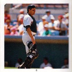 1991 Baseball's Best Record Breakers Stickers #6 Carlton Fisk Front