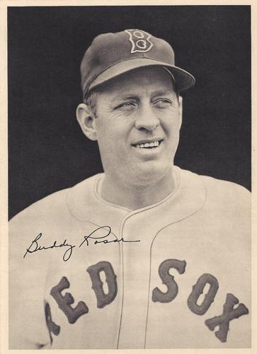 1950 Boston Red Sox Picture Pack #NNO Buddy Rosar Front