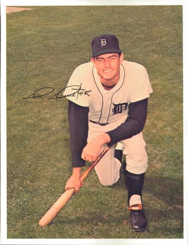 1966 Detroit Tigers Color Picture Pack A #NNO Don Demeter Front