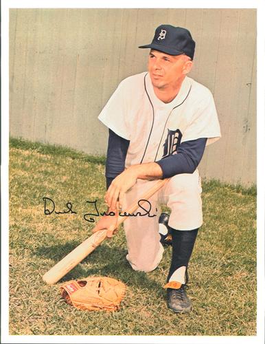 1966 Detroit Tigers Color Picture Pack B #NNO Dick Tracewski Front