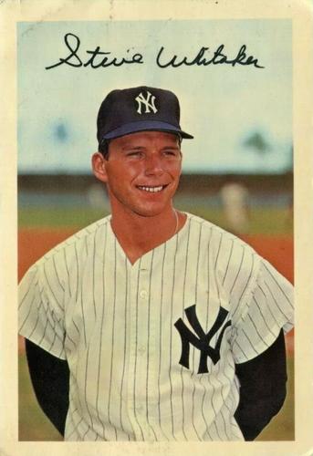 1966 Dexter Press New York Yankees #DT-25987-C Steve Whitaker Front