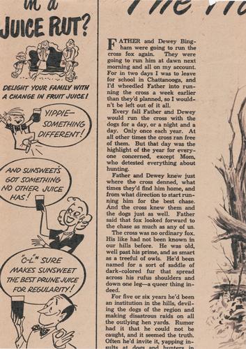 1950 Philadelphia Inquirer Philadelphia Phillies #NNO Kenneth W. Johnson Back
