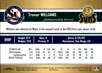 2015 Grandstand Southern League Top Prospects #NNO Trevor Williams Back