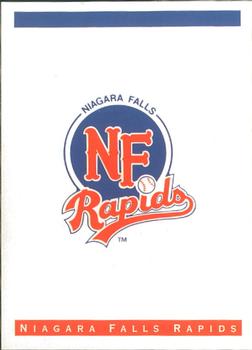 1993 Classic Best Niagara Falls Rapids #29 Team Logo Back
