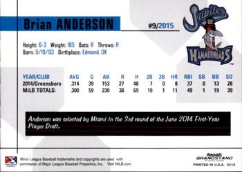 2015 Grandstand Jupiter Hammerheads #NNO Brian Anderson Back