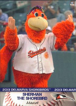 2013 Brandt Delmarva Shorebirds #34 Sherman the Shorebird Front