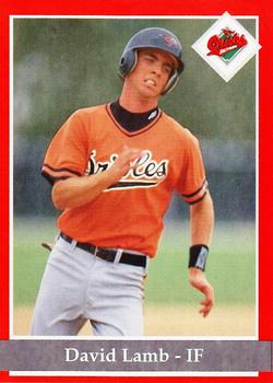 1994 Baltimore Orioles Program Cards #NNO David Lamb Front