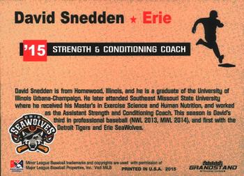2015 Grandstand Erie SeaWolves #NNO David Snedden Back