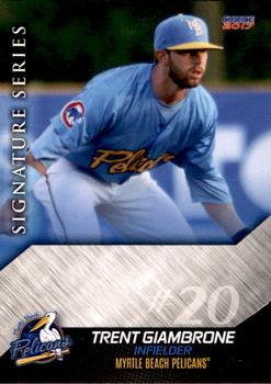 2017 Choice Myrtle Beach Pelicans #11 Trent Giambrone Front