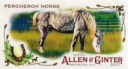 2017 Topps Allen & Ginter - Mini Horse in the Race #HR-21 Percheron Horse Front