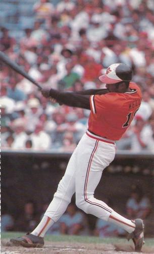 1977 Baltimore Orioles Photo Album #NNO Pat Kelly Front