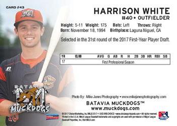 2017 Choice Batavia Muckdogs #43 Harrison White Back