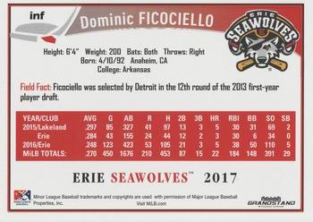 2017 Grandstand Erie SeaWolves #NNO Dominic Ficociello Back