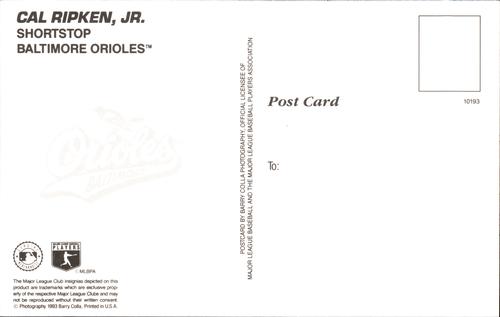 1993 Barry Colla Postcards - Prototypes #10193 Cal Ripken, Jr. Back