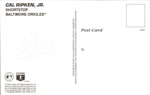 1993 Barry Colla Postcards - Prototypes #10693 Cal Ripken, Jr. Back