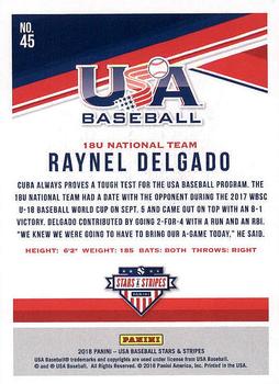 2018 Panini USA Baseball Stars & Stripes #45 Raynel Delgado Back